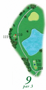 #9layout